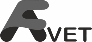 WhatsApp_Image_2025-08-05_at_13.06.33_e8fb2253-removebg-preview